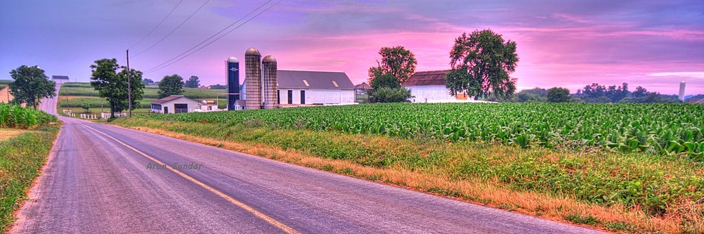 Y444D's profile banner image