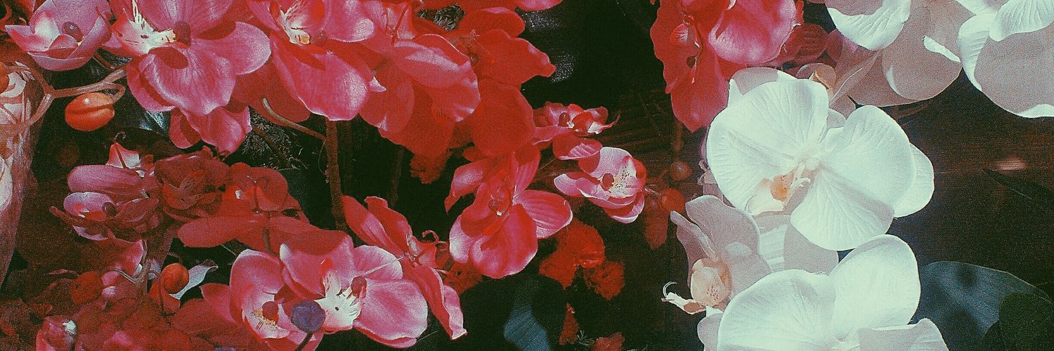 Hale_Ena's profile banner image