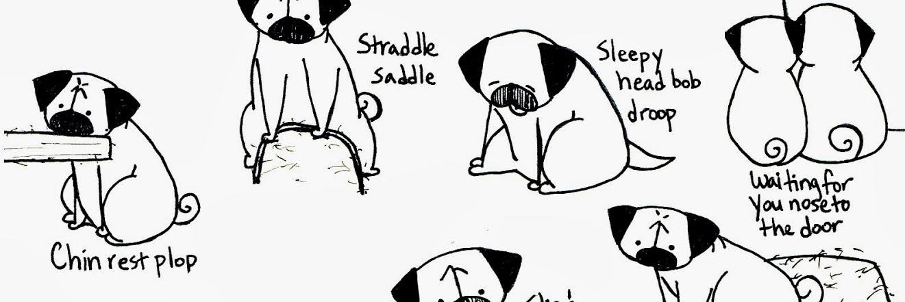 mbellished1's profile banner image
