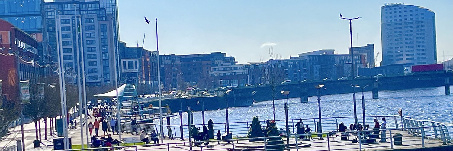 Limerick Ryan banner