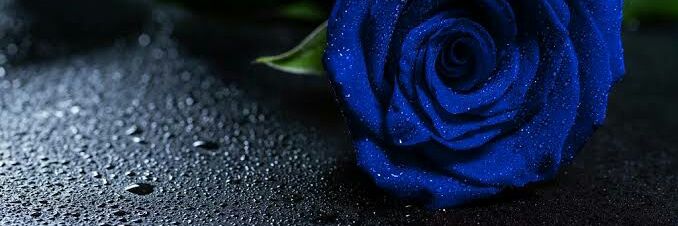 Retno_Tiwi's profile banner image