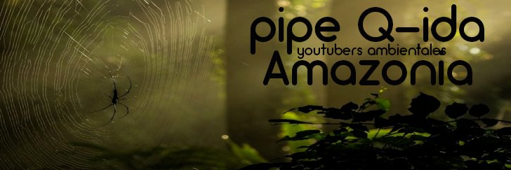 Pipe Cuida banner
