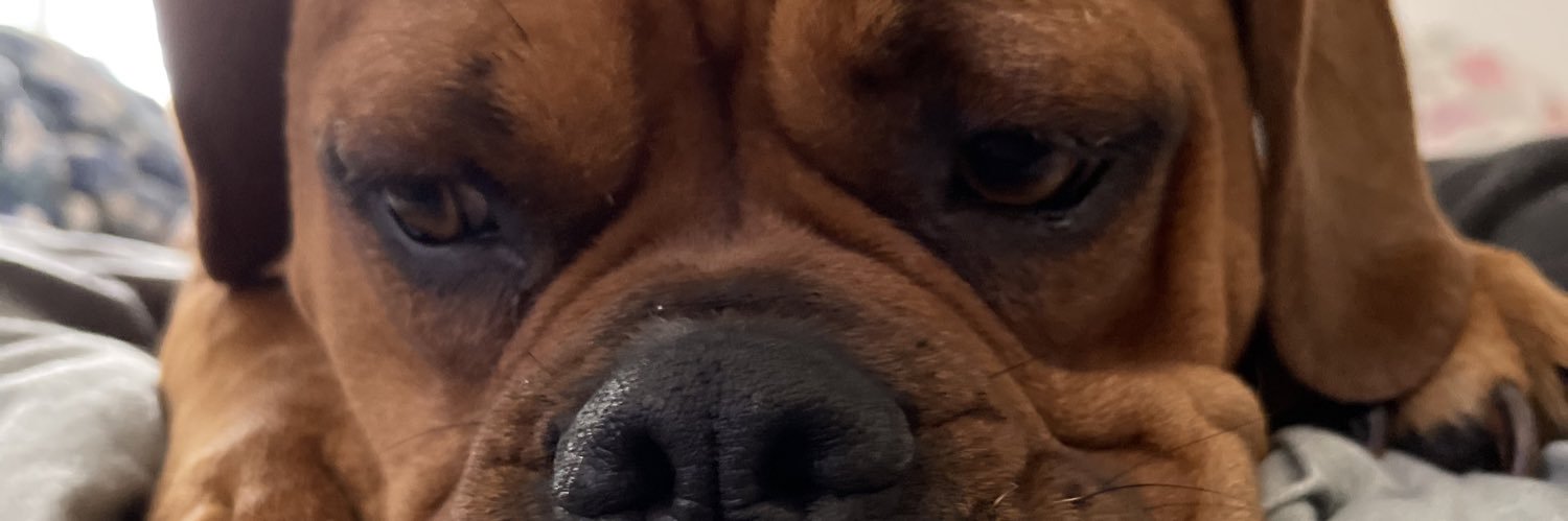 Carson_forsberg's profile banner image
