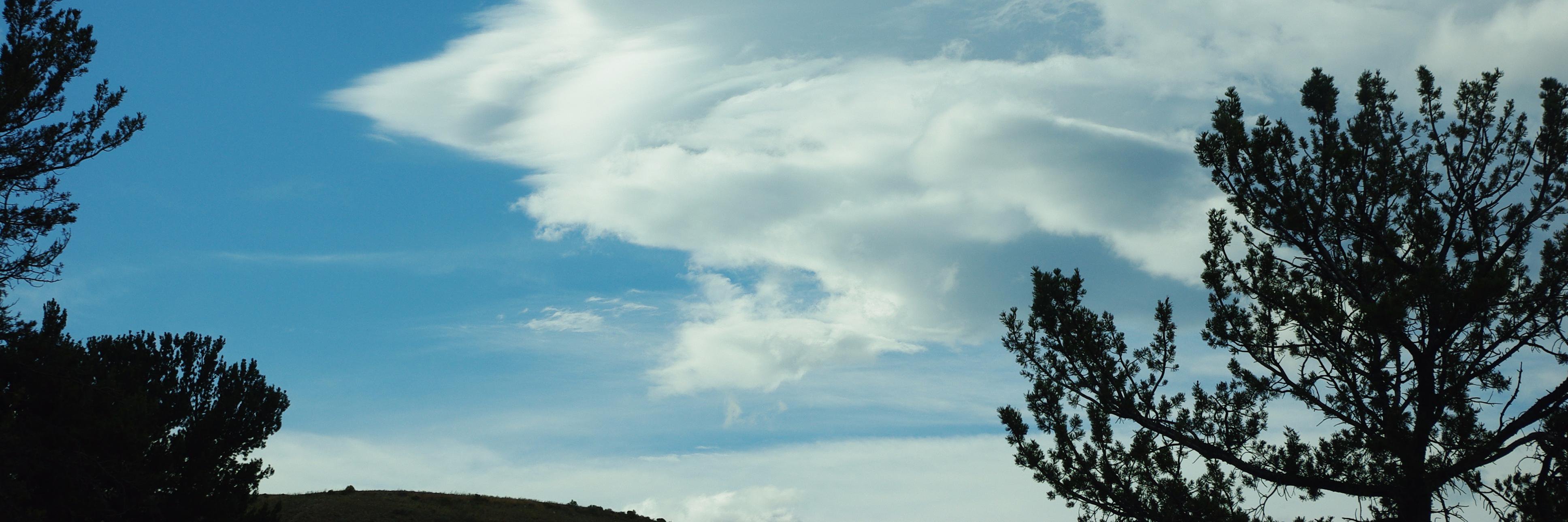 Dave Johnson (thisDaveJ.com) banner