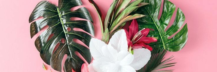 EkaMhrani's profile banner image