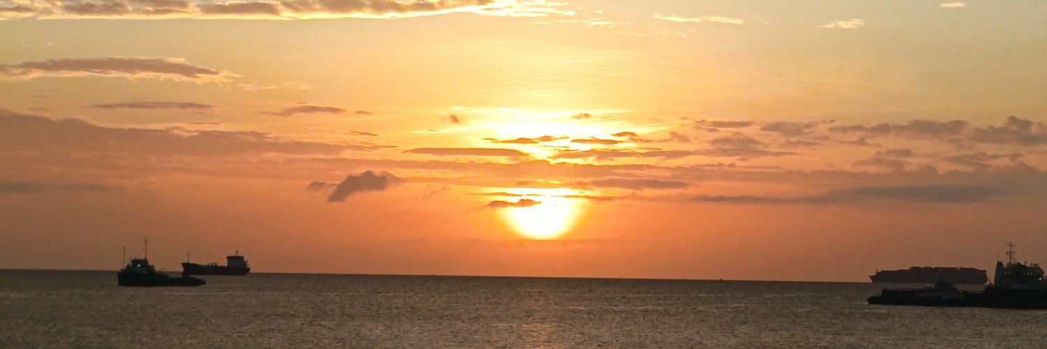 LauraRaquel banner