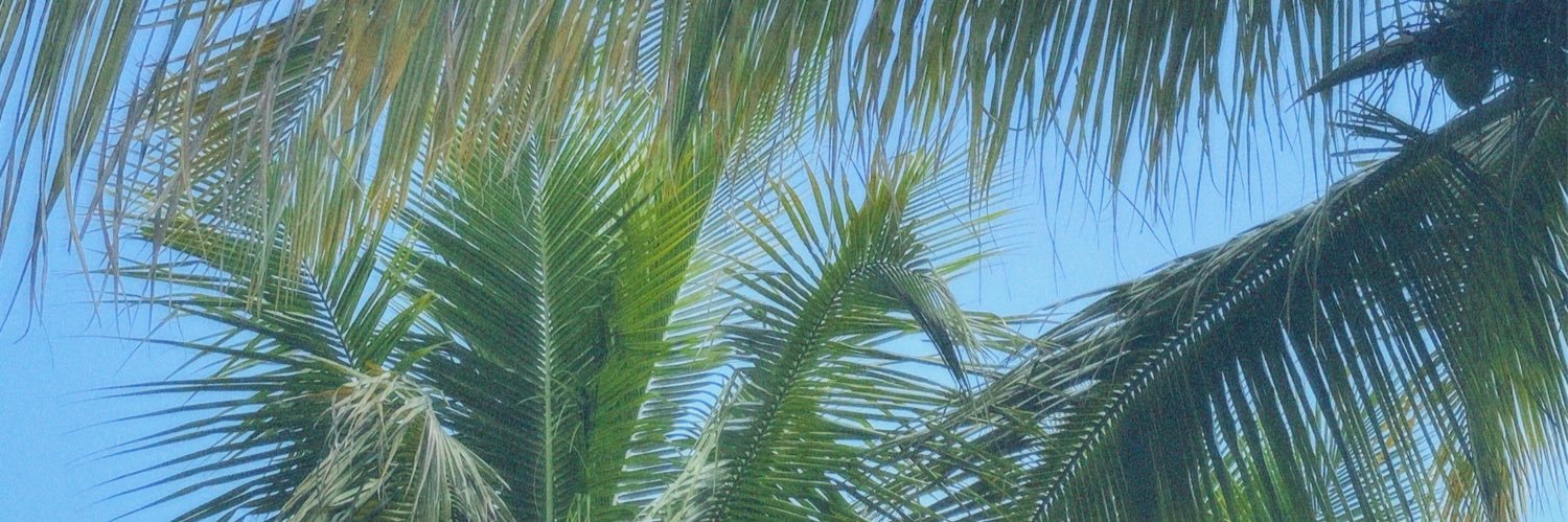 isa_bellalb's profile banner image