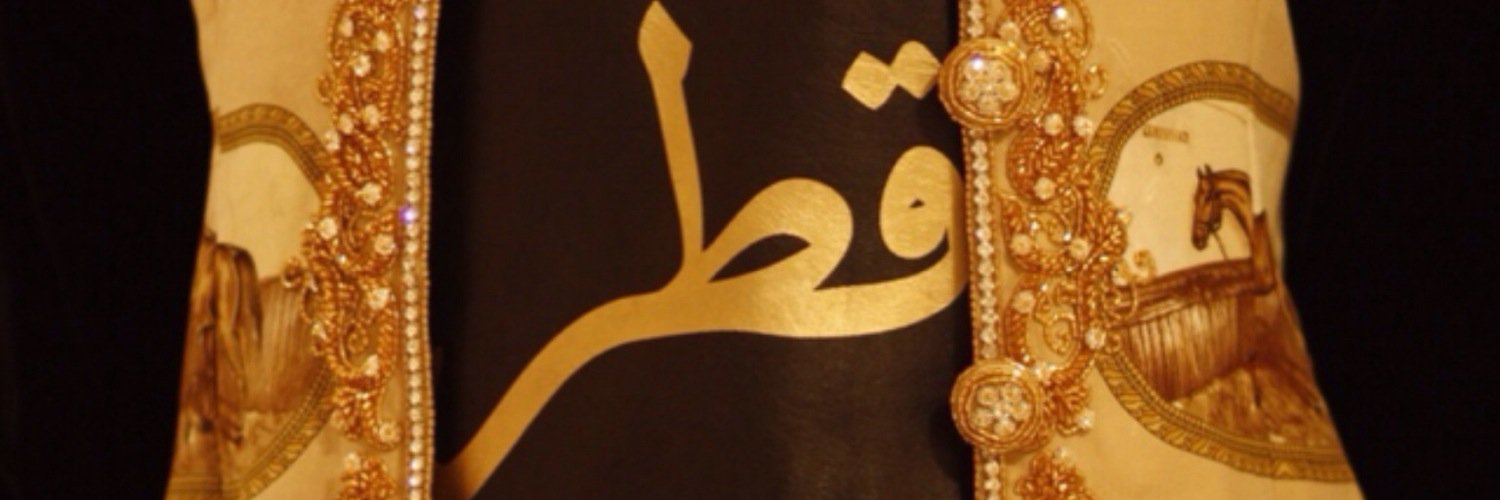 SHALSULiTi's profile banner image