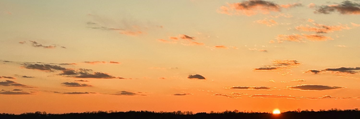 aleahtylarr's profile banner image