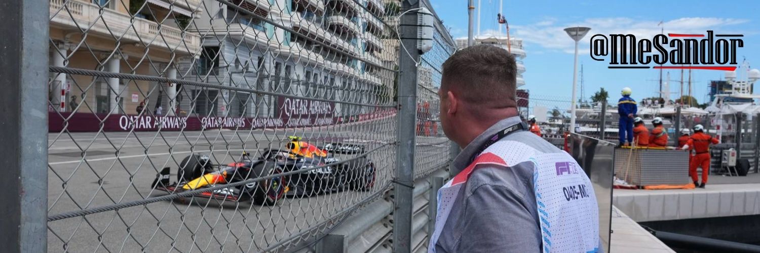 Sándor Mészáros banner