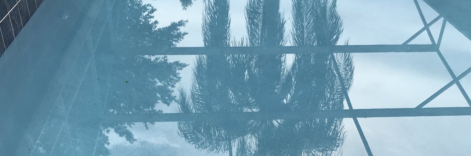 Cymorg banner