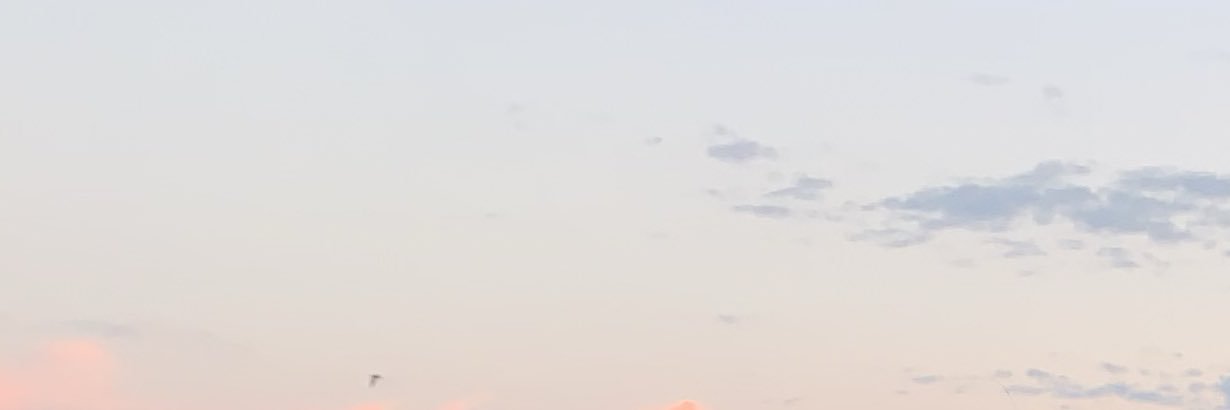 rachh_thomas's profile banner image