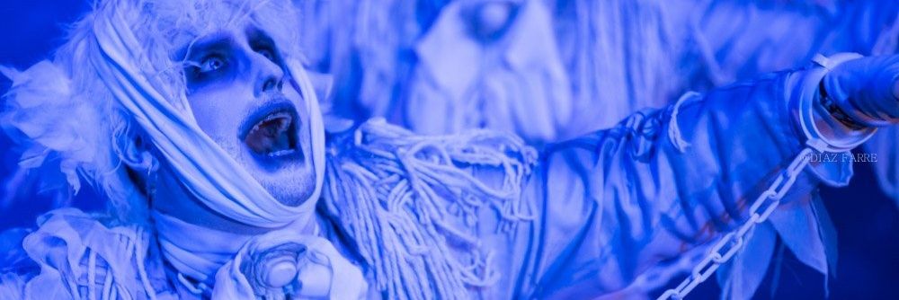 xely banner