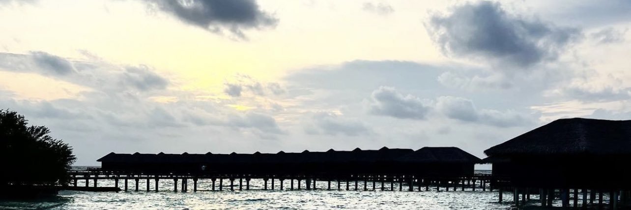 • 𝙉𝙊𝙐𝙁 ✨ banner