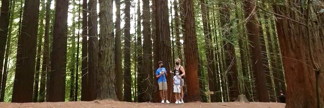 Roberto C.D. 🇪🇸 🇭🇳 banner