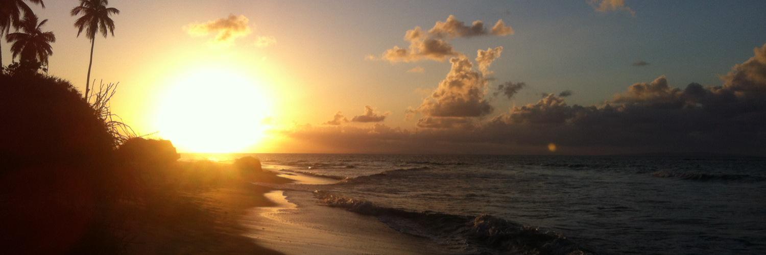 Rosa_Rod27's profile banner image