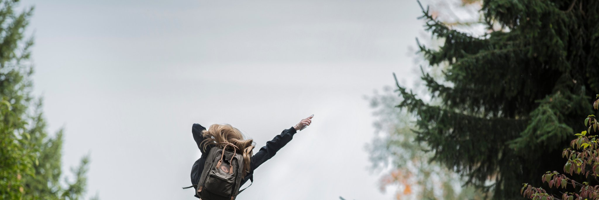 Wellseekers's profile banner image