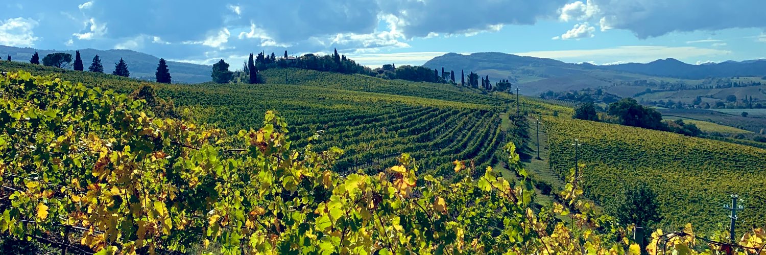EleFarolfi's profile banner image