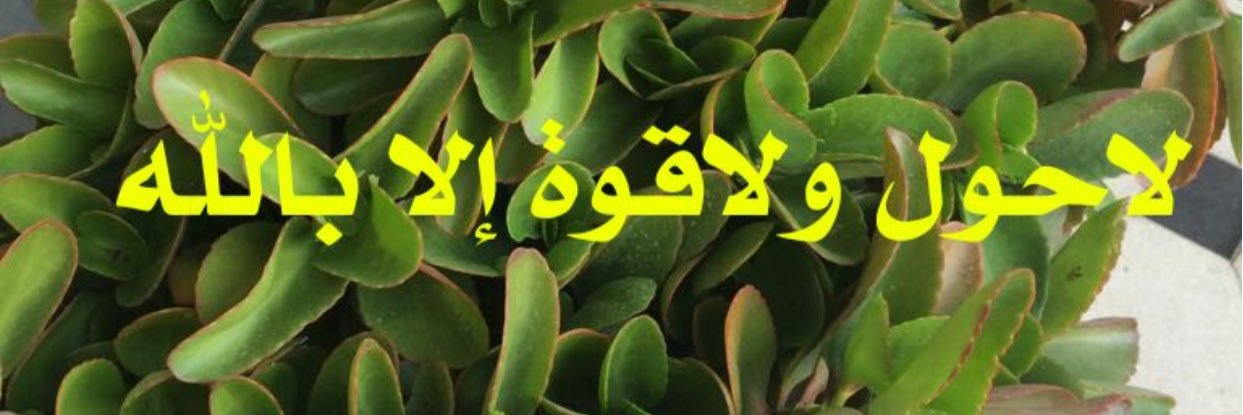 HOOR_100's profile banner image