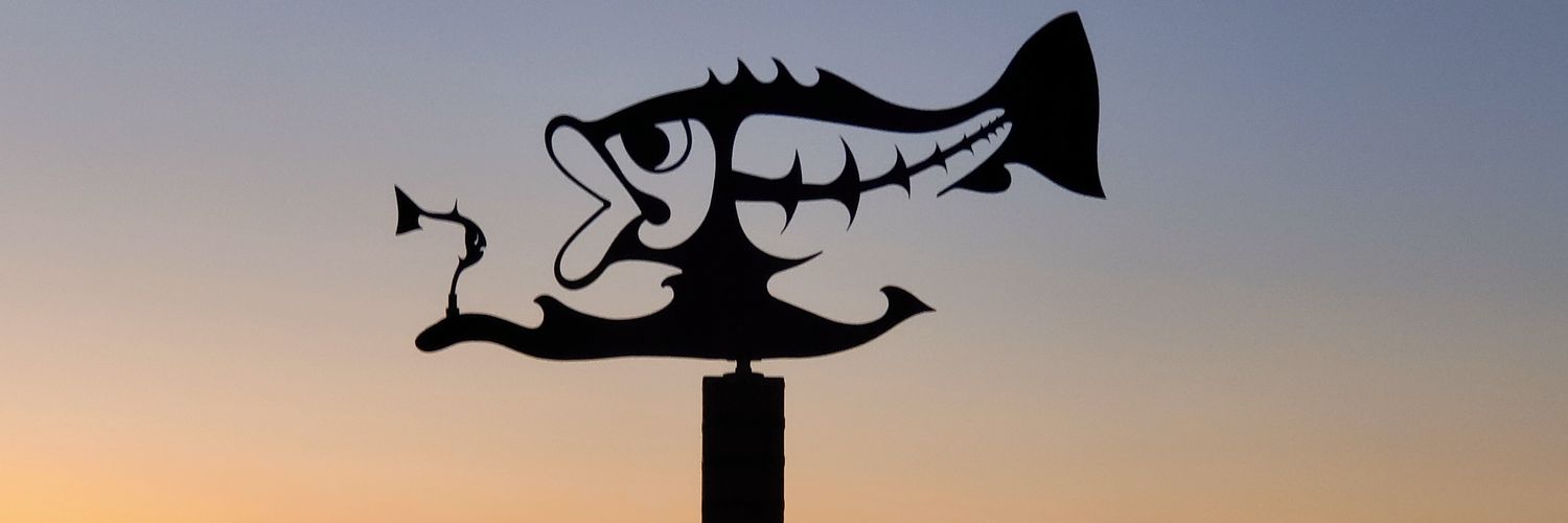 ajotapebe's profile banner image
