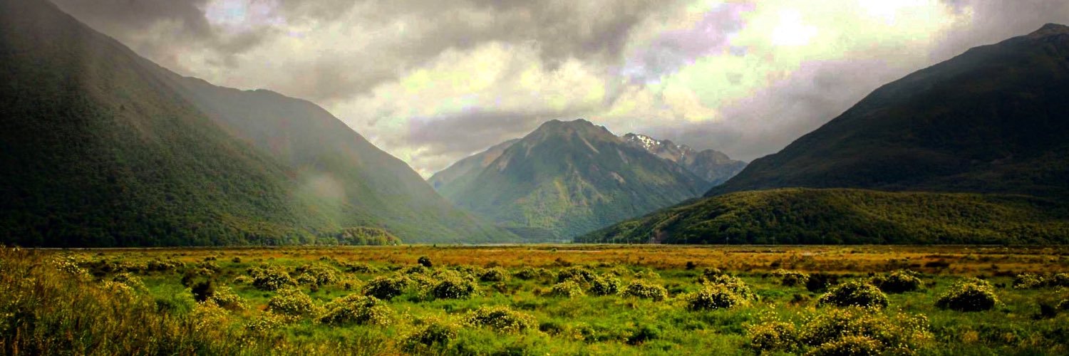 HollyEliStew's profile banner image