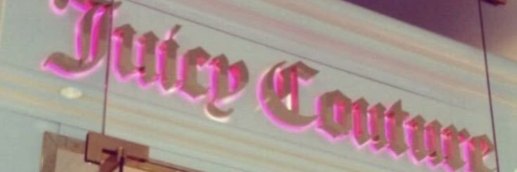 rye banner