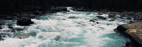 richardson_bri Profile Banner