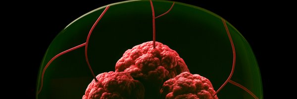 TheMetalBeast Profile Banner