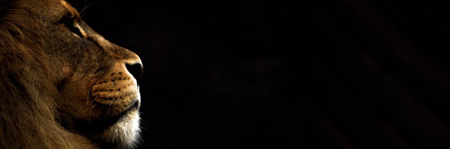 MuLL_RiCh's profile banner image