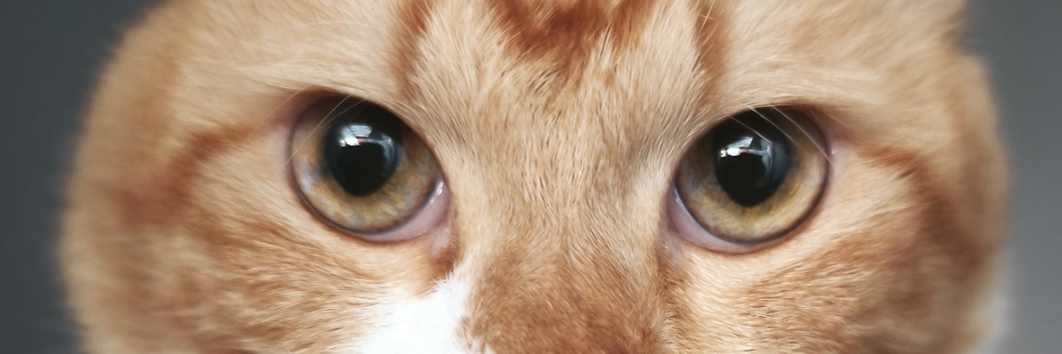 babangeza's profile banner image