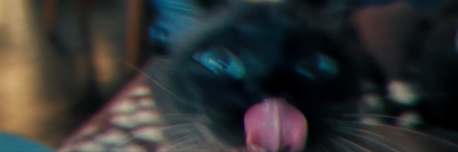 manuziia's profile banner image