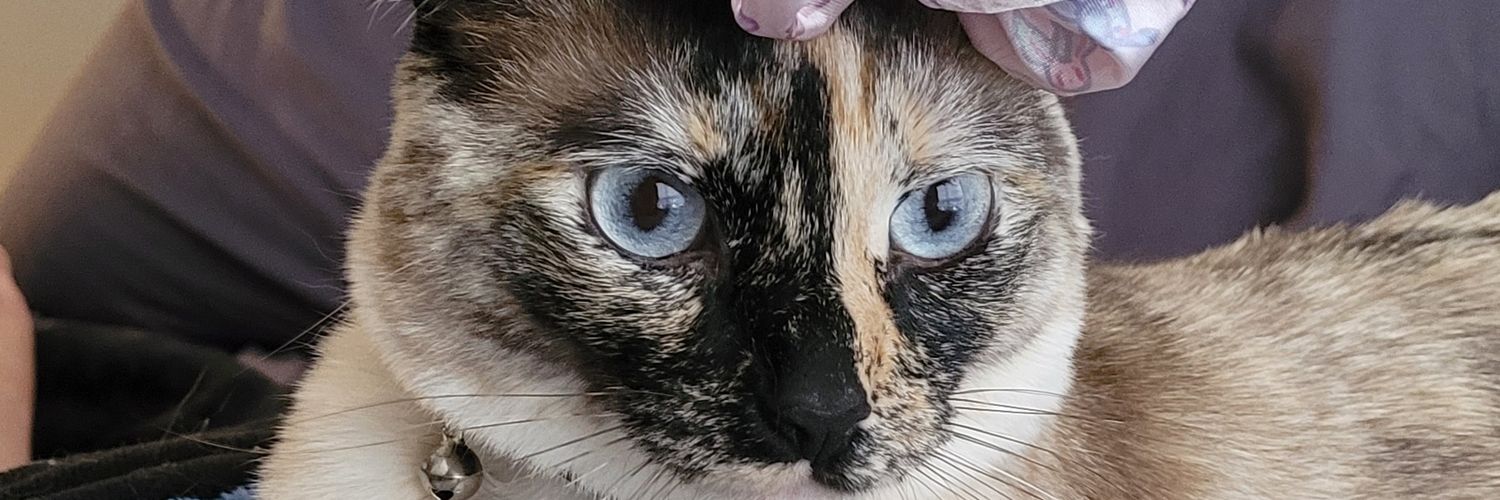 MrClamster's profile banner image