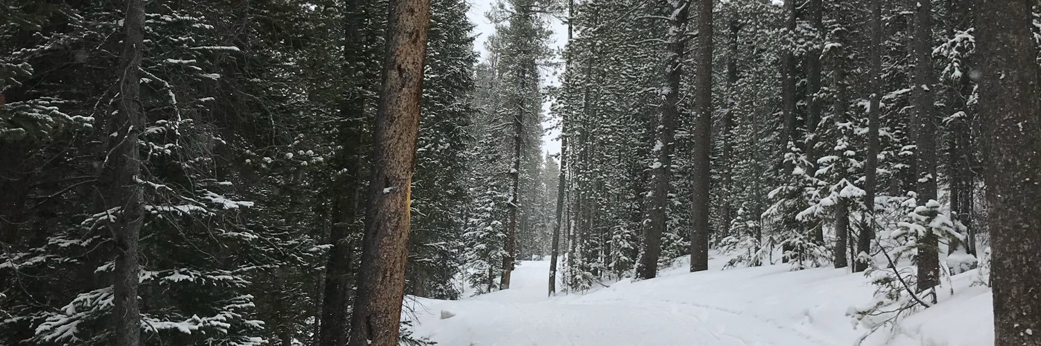 SandyJCr's profile banner image