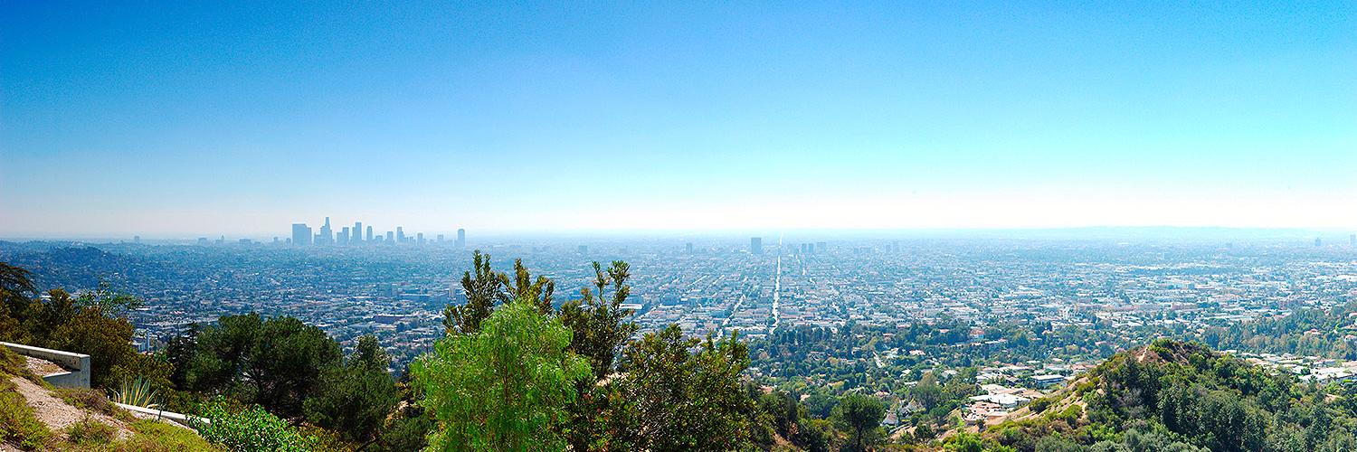 David Rimawi ❤️ Memecoin banner