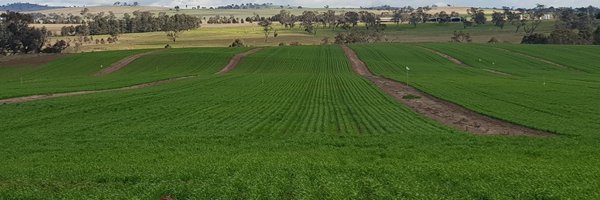 sOiLmAlOnE Profile Banner