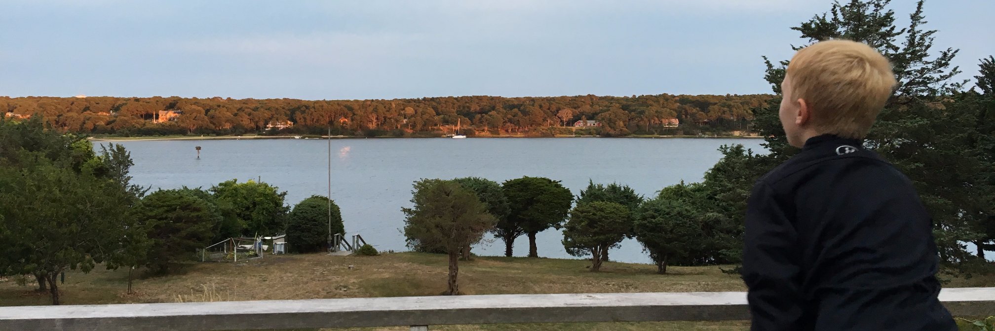 Mark Cunningham banner