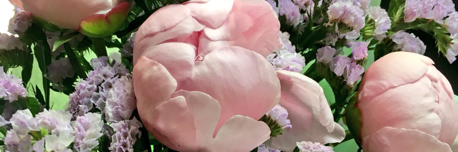 anuta_buk's profile banner image