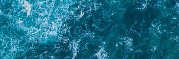 Denise Di Lena banner