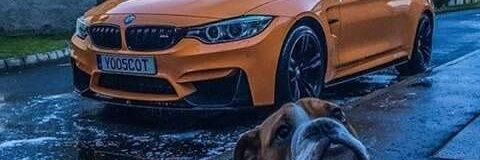 msendy1632's profile banner image