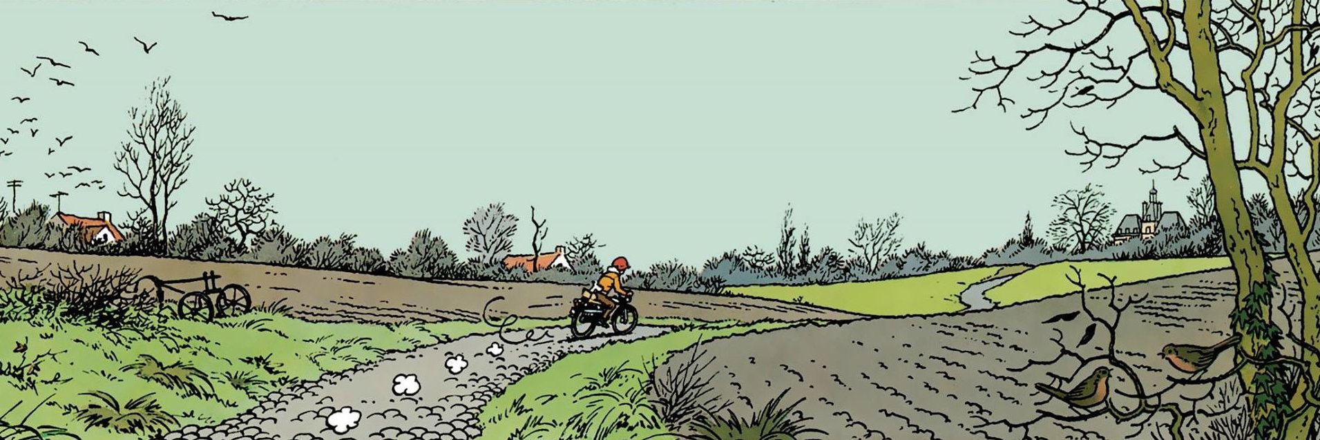 vfabius's profile banner image