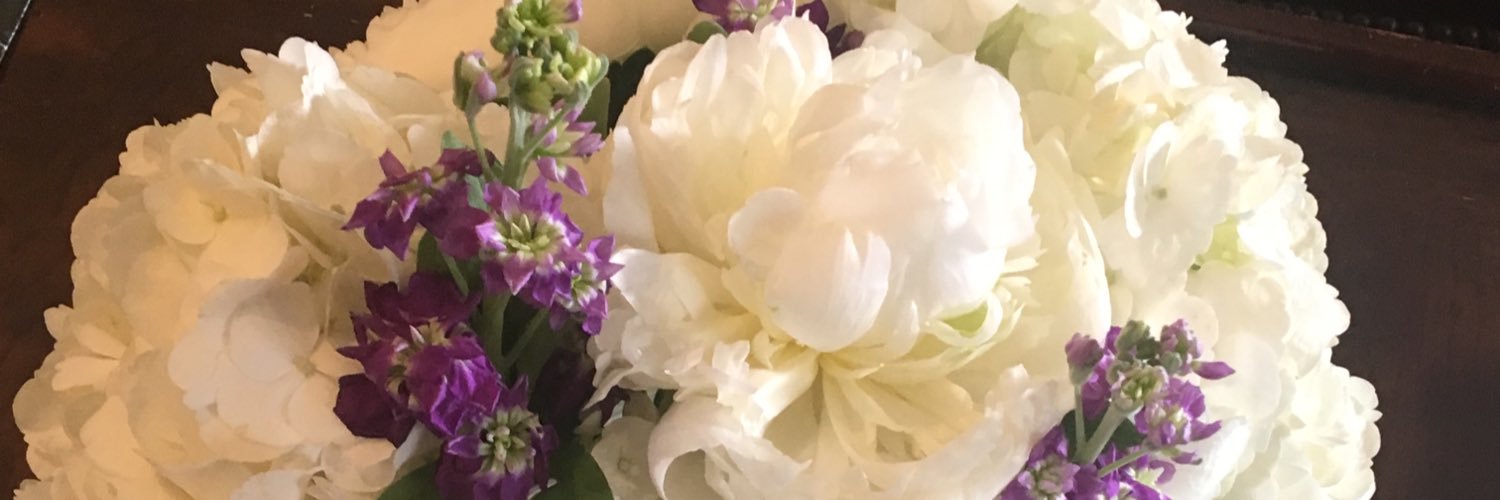 Debra Gilchrist banner