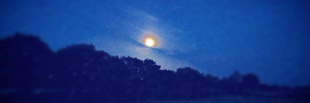 David J R Jones banner