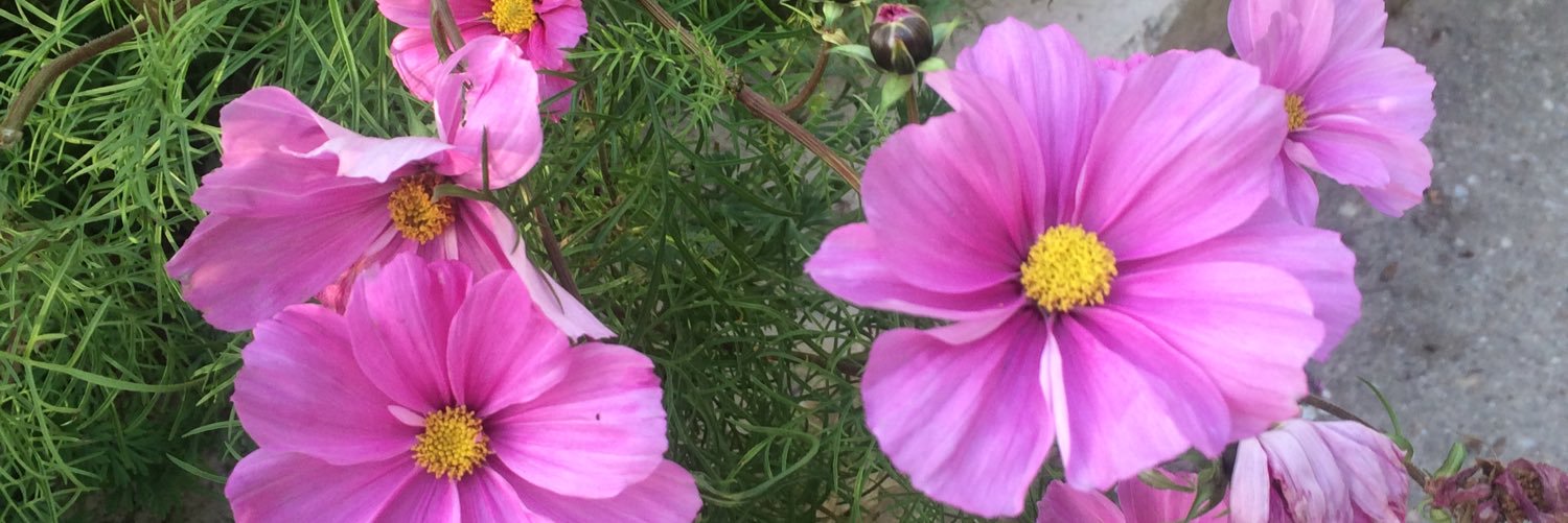 Dimbokro60's profile banner image