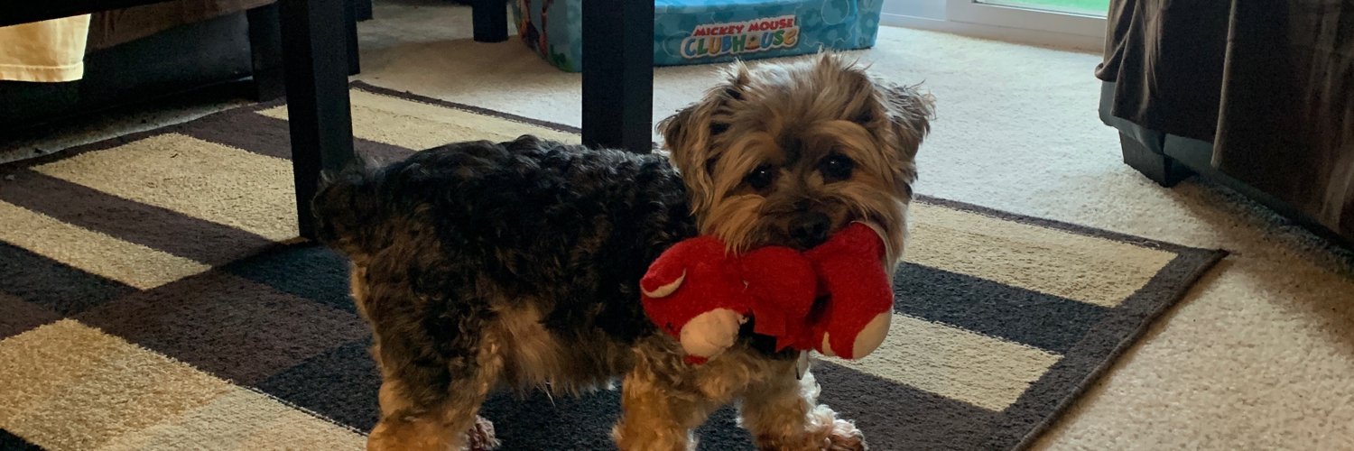 I0IT2GOD's profile banner image