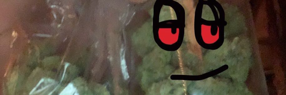 hibernationszn's profile banner image