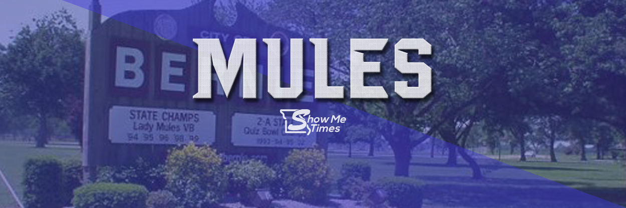 MulesSMT's profile banner image
