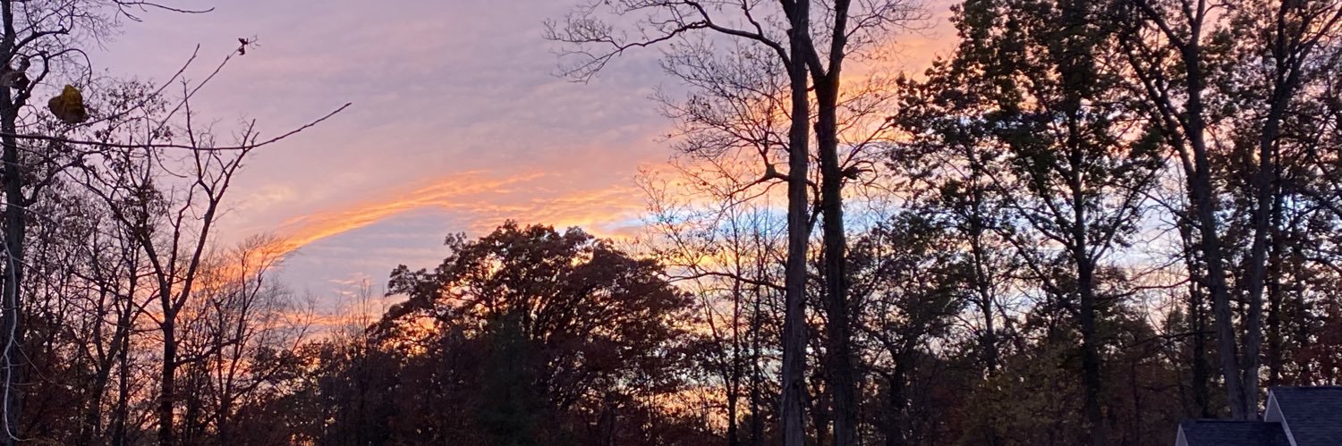 GavinGreene1's profile banner image