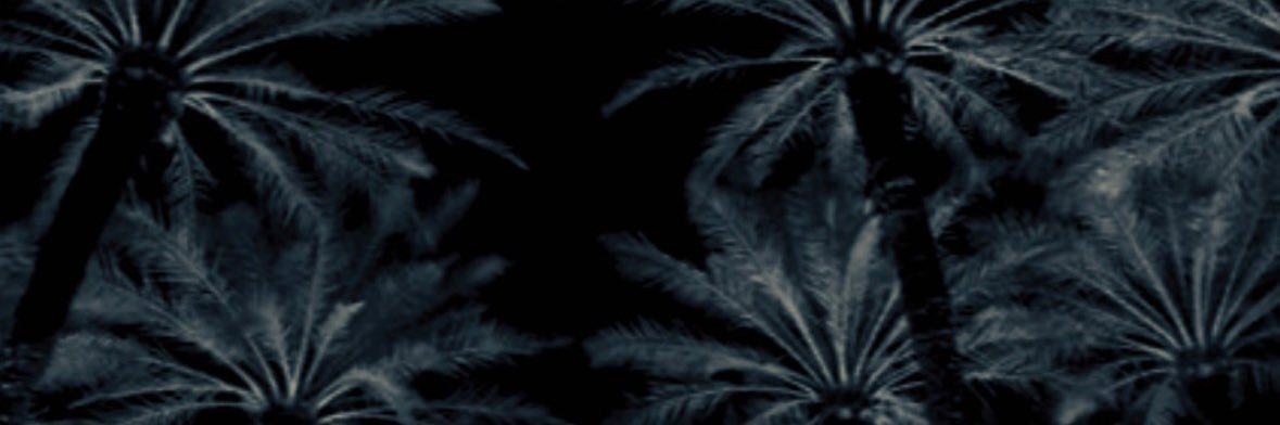 983183's profile banner image