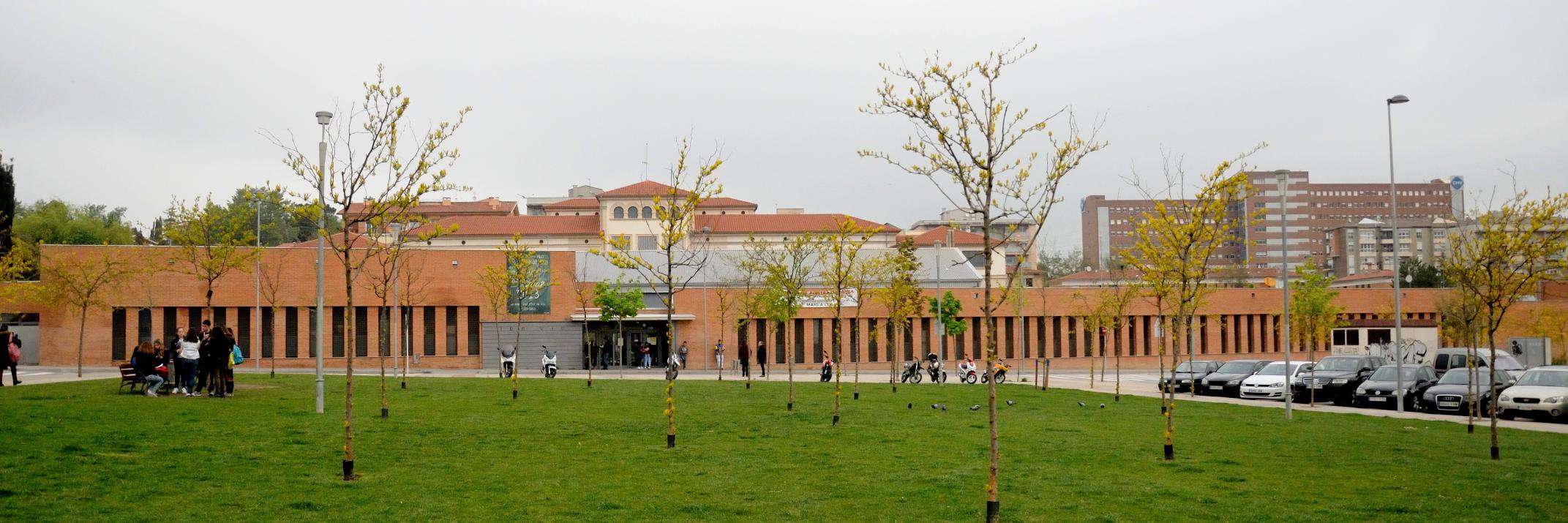 Institut de Vic banner