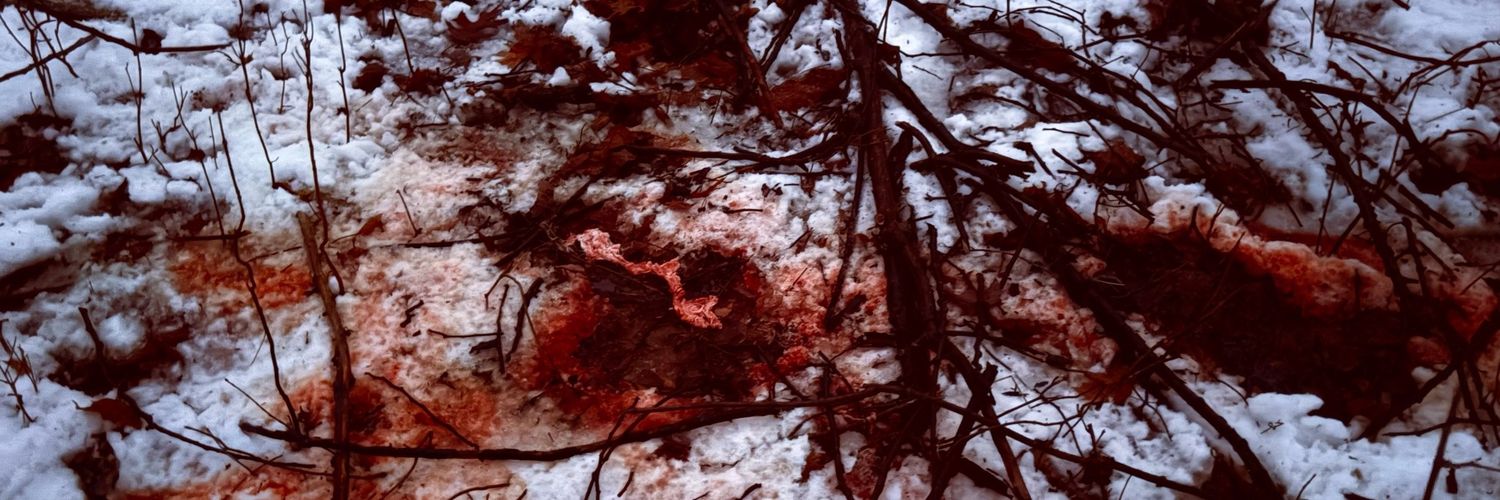 ReapersChild623's profile banner image